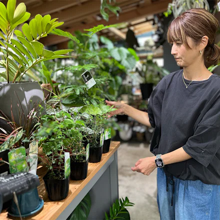【横須賀】300種の観葉植物とケーキに和む!植物ショップカフェ|cocos farm
